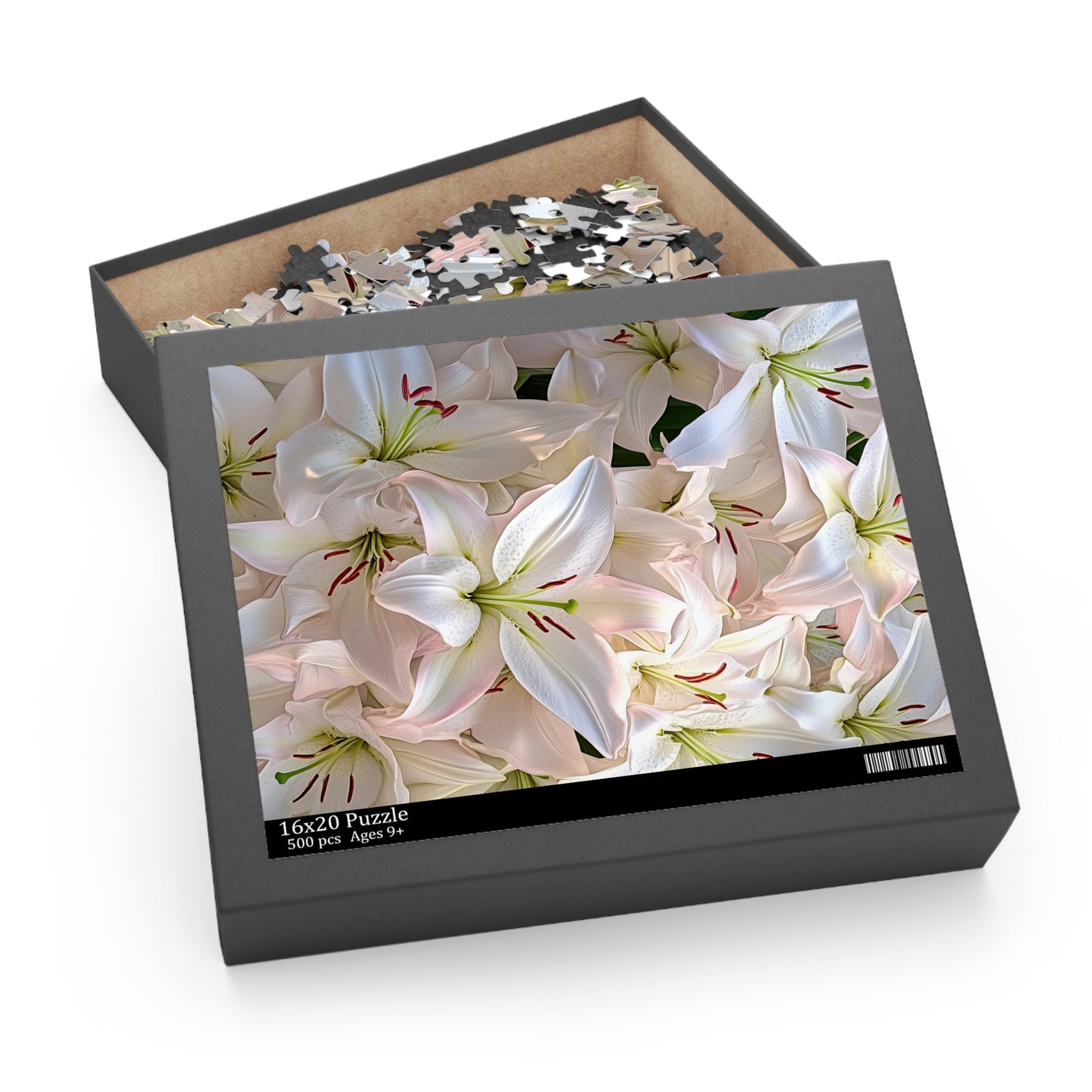 Bloom Room Puzzle (500-Piece Jigsaw Puzzle)