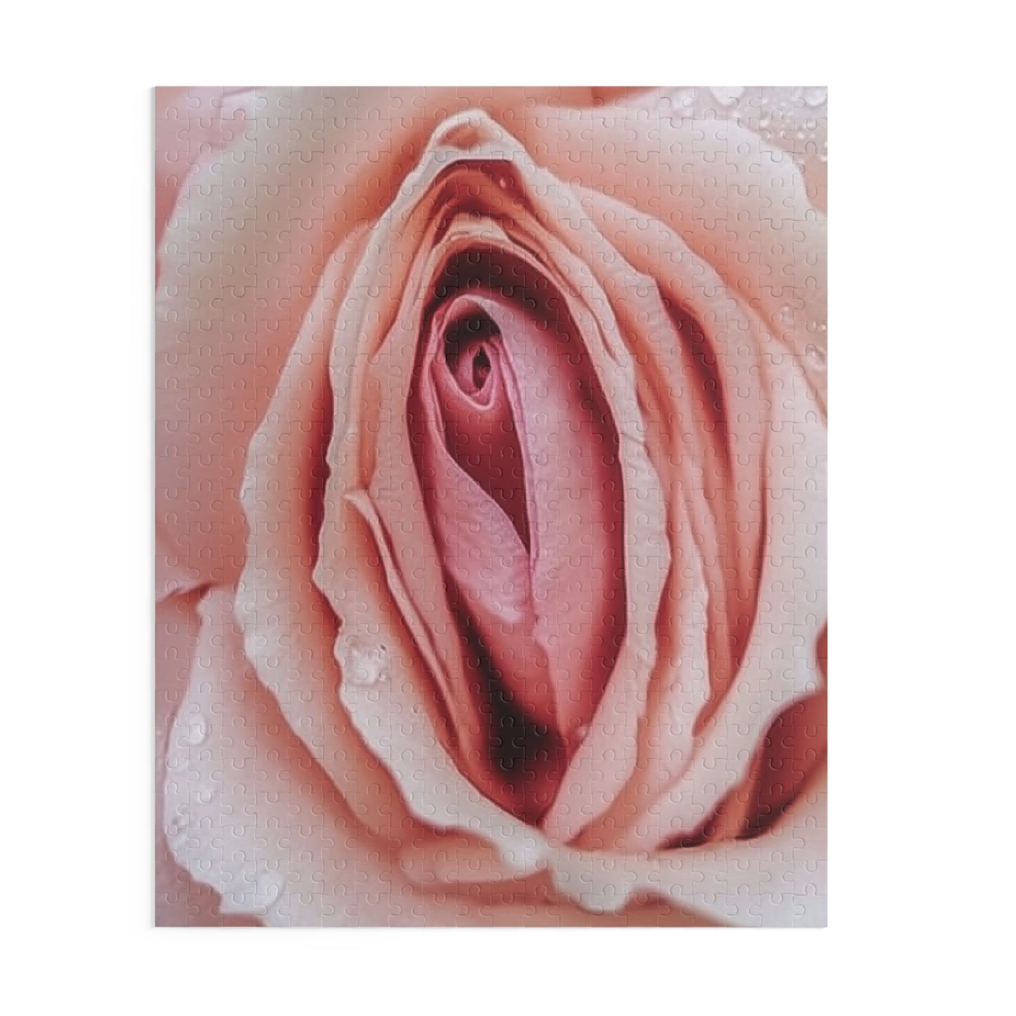 Petal Play Puzzle (500-Piece Jigsaw Puzzle)