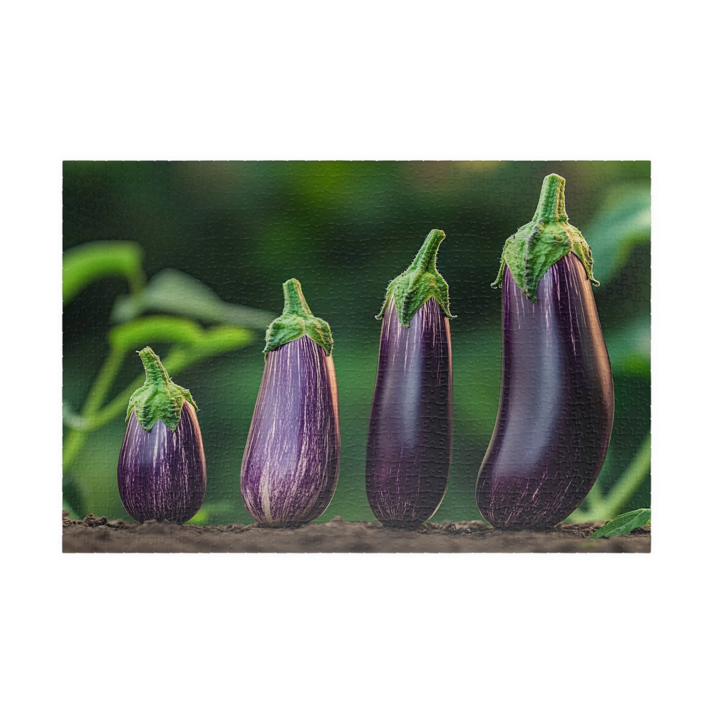 Five purple eggplants with green stems on a blurred green background