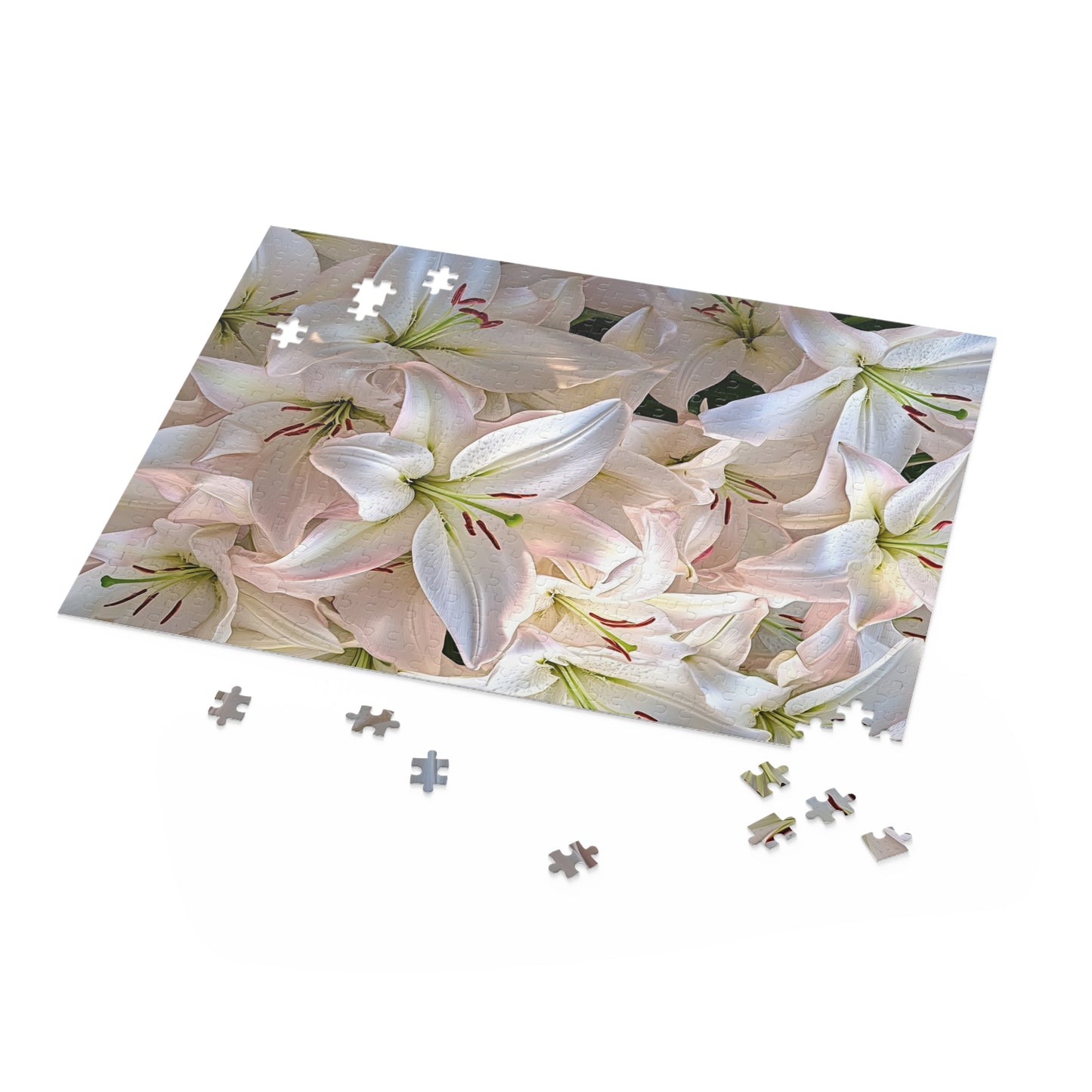 Bloom Room Puzzle (500-Piece Jigsaw Puzzle)