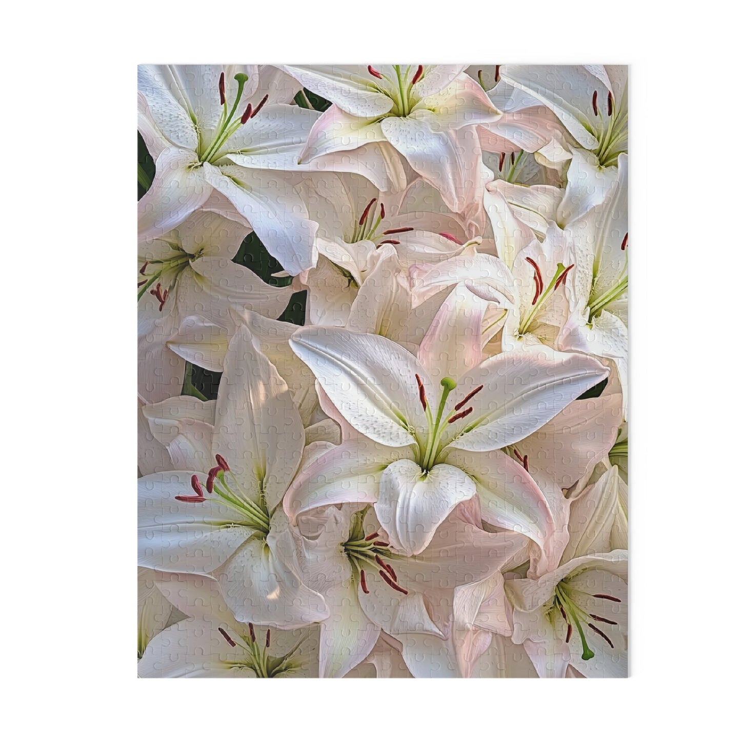 Bloom Room Puzzle (500-Piece Jigsaw Puzzle)